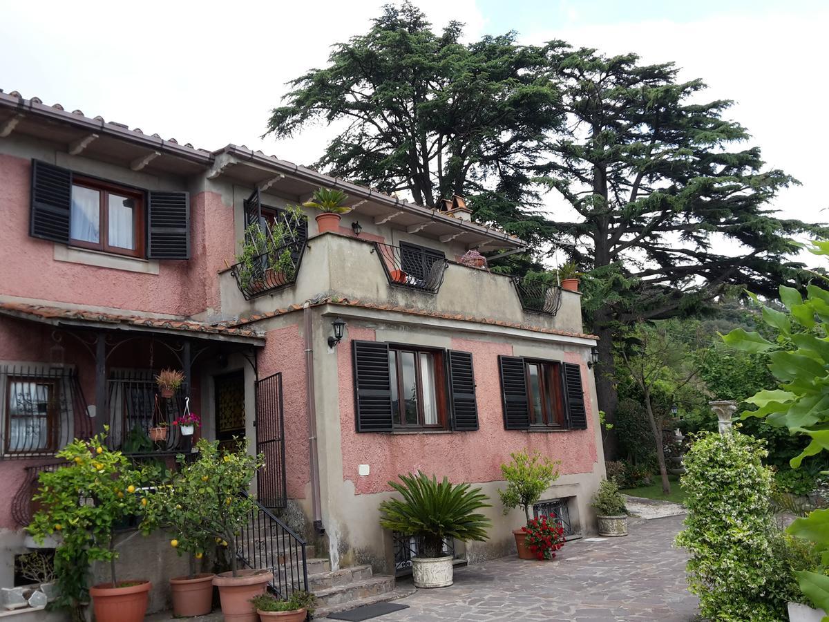Bed&Breakfast "Fiorella" Sul Lago Castel Gandolfo Buitenkant foto