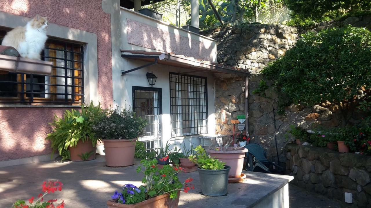 Bed&Breakfast "Fiorella" Sul Lago Castel Gandolfo Buitenkant foto